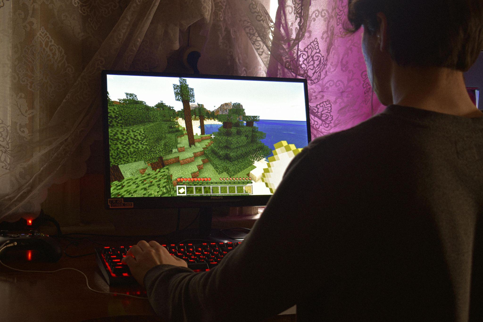 Teenager playing Minecraft.
